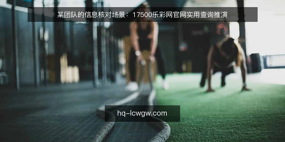 某团队的信息核对场景:17500乐彩网官网实用查询推演 — 准备查询环境:明确输入与输出 配图