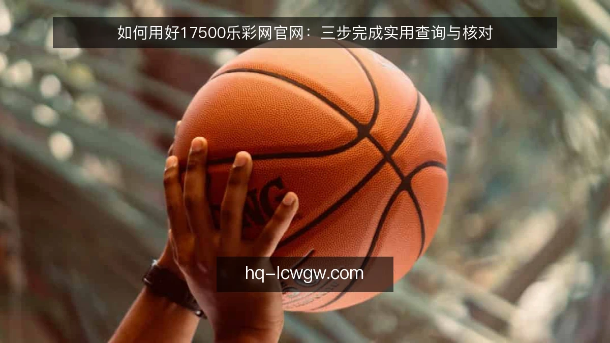 如何用好17500乐彩网官网：三步完成实用查询与核对