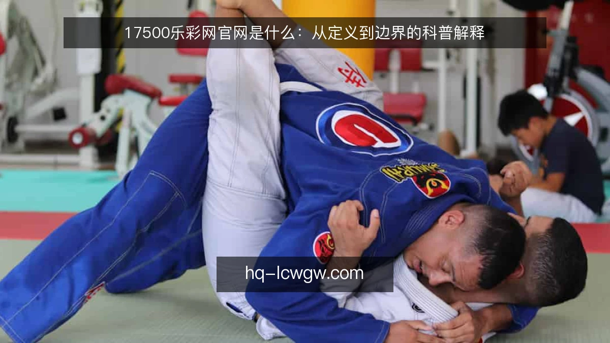 17500乐彩网官网是什么：从定义到边界的科普解释